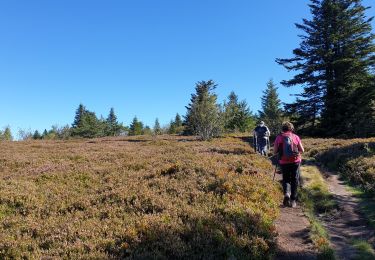 Trail Walking La Valla-en-Gier - cretes pilat - Photo