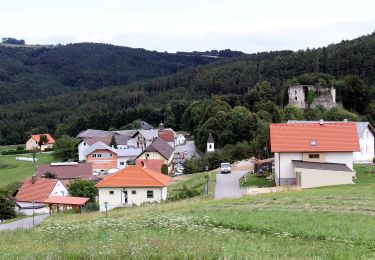 Excursión A pie Gemeinde Lichtenegg - Hollenthon - Pesendorf - Stickelberg - Fuchsbauer - Hollenthon - Photo