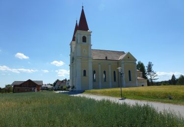 Excursión A pie Gemeinde Lichtenegg - Edlitz (Bahnhof) - Kaltenberg - Photo