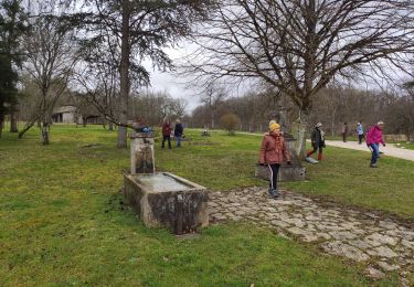 Tour Wandern Mulsach - Baronne - Photo