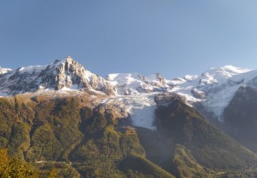 Trail Walking Chamonix-Mont-Blanc - 20211014 Gailland par balcon sud - Photo