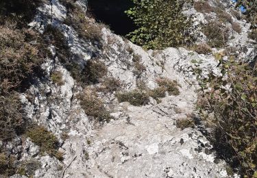 Excursión Senderismo Orcines - Pariou Puy de Dôme  - Photo