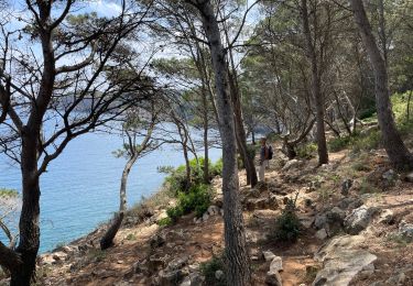 Tocht Stappen Torroella de Montgrí - Cala de Montgo - Photo