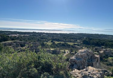 Trail Walking Leucate - Leucate par la rive de l’étang / le château  - Photo