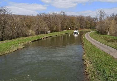 Randonnée V.T.T. Langatte - 09-04-22 etang du stock vers etang de Mittersheim - Photo