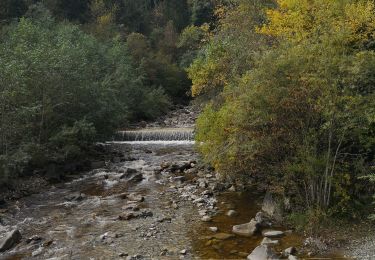 Tocht Stappen Alpnach - gruber alpnach - Photo