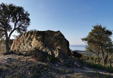 Excursión Senderismo Bormes-les-Mimosas - Pas de la Griotte - Bregançon - L'Estagnole - Photo