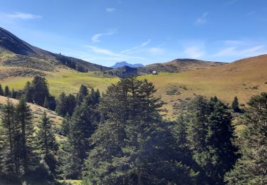 Excursión Senderismo Sarrancolin - Mountarrouy en boucle depuis la station de Nistos  - Photo