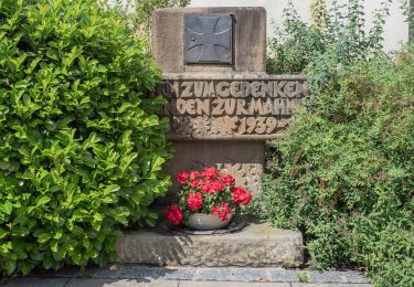 Tour Zu Fuß Schönbrunn i.Steigerwald - Rundweg Schönbrunn im Steigerwald S 3 - Photo