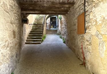 Percorso Marcia Grignan - Grignan - Photo