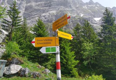 Tocht Te voet Grindelwald - CH-Unterlauchbühl - Bort - Photo