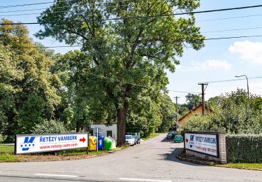 Percorso A piedi Vamberk - [Ž] Vamberk (ŽST) - Na Vyhlídce - Photo