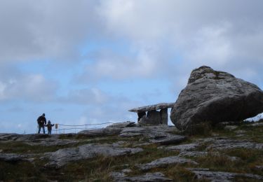 Tour Zu Fuß West Clare Municipal District - Mullaghmore loop blue - Photo