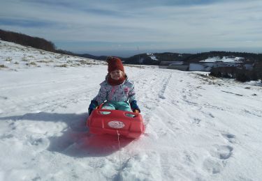 Tour Wandern Lepuix - Lola & Ballon d'Alsace - Photo