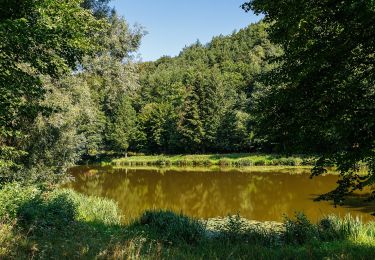 Tour Zu Fuß Schweigen-Rechtenbach - Rund ums Steinbühl Schweigen-Rechtenbach - Photo