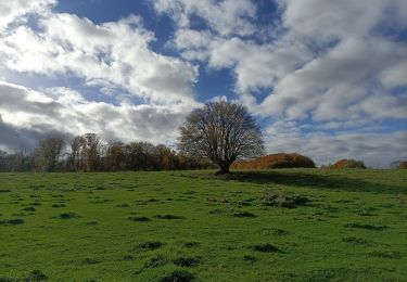 Tour Wandern Heerlen - Klein rondje bos  - Photo