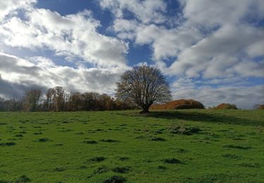 Randonnée Marche Heerlen - Klein rondje bos  - Photo