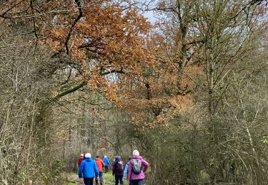 Trail Walking Marche-en-Famenne - Humain - Photo