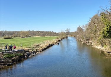 Tour Wandern Hotton - Fronville - Photo