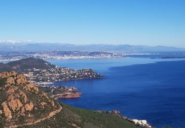 Trail Walking Saint-Raphaël - Petit tour du cap roux - Photo