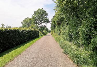Randonnée A pied Mamer - Auto-Pédestre Mamer 2 - Photo