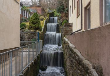 Randonnée A pied Triberg im Schwarzwald - Triberg - Weißenbacher Höhe - Photo