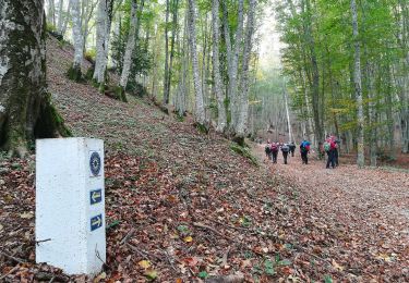 Randonnée A pied San Lucido - (SI U25) Passo della Crocetta - Caserma Forestale di Cinquemiglia - Photo