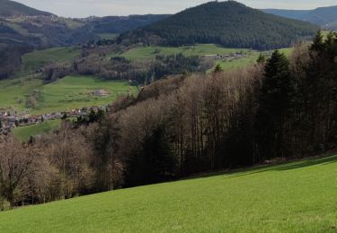 Tour Mountainbike Urbach bei Kaysersberg - Fréland - cimetière Duchesne - Photo