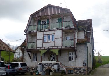 Percorso A piedi Brensbach - Rundwanderweg Brensbach Im Röhr 3: Heilsruhe-Weg - Photo