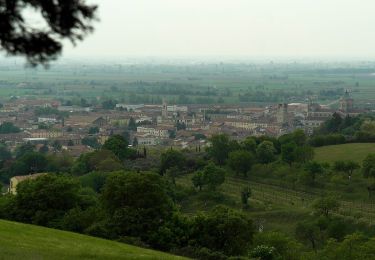 Randonnée A pied Lonigo - Sentiero dei Monti di Lonigo - Photo