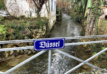 Tocht Te voet Haan - Gruiten Rundweg A1 - Photo