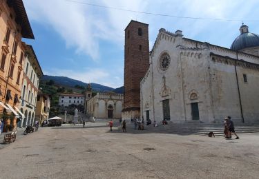 Tocht Stappen Massa - CR_Francigena_CJ_33_Massa_Camaiore_20220617 - Photo