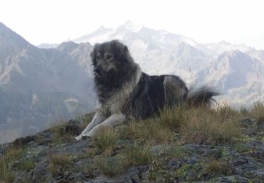 Percorso A piedi Sers - rando lac bleu Misty - Photo