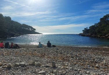 Tour Wandern Bandol - bandol port d'abonnement par la frégate départ b - Photo