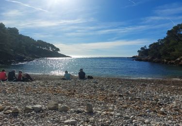 Randonnée Marche Bandol - bandol port d'abonnement par la frégate départ b - Photo