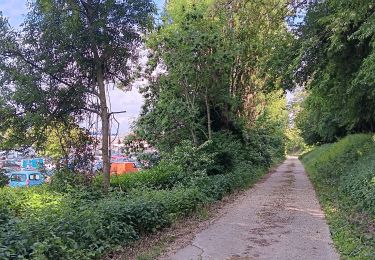 Trail Walking Ans - derrière carrefour ans ... - Photo