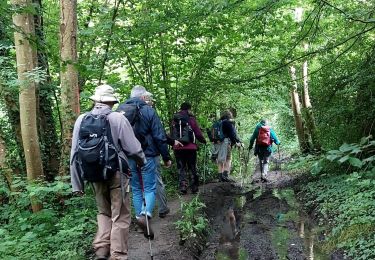 Trail Walking La Ferté-sous-Jouarre - LaFerteSousJouarre-boucle-2-6-2024-20Km - Photo