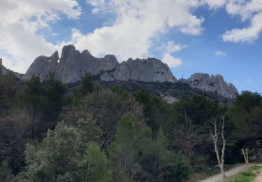 Trail Walking Gigondas - Gigondas - Photo