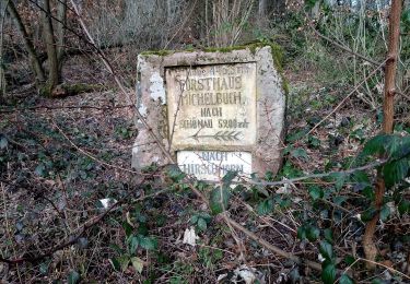 Tour Zu Fuß Neckarsteinach - Rundwanderweg Neckarsteinach 2: Lanzenbach-Weg - Photo