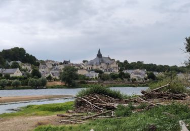 Percorso Marcia Savigny-en-Véron - Savigny-en-Véron - la Vienne la Loire - 20.8km 135m 5h45 (50mn) - 2025 07 02 - Photo