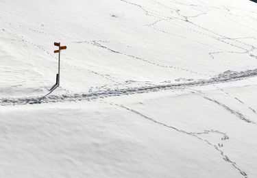 Trail On foot Schwarzenberg - Grosse Welt - Photo