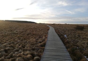 Tocht Stappen Waimes - la grande ronde des fagnes - Photo