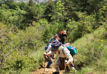 Trail Walking Florac Trois Rivières - Florac - Photo