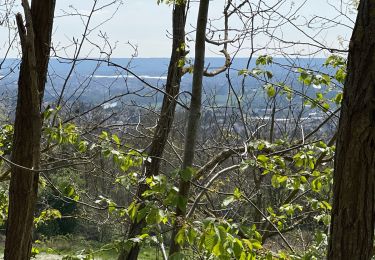 Trail Walking Cormeilles-en-Parisis - Aller-Retour - Le balcon de l'Ile de France - Cormeilles en Parisis - Photo