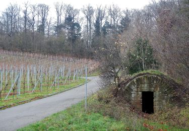 Tocht Te voet Ilsfeld - SB7 WeinKulTour - Weinwanderung - Photo