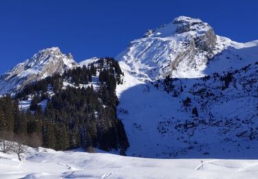 Tocht Sneeuwschoenen La Clusaz - le Danet - Photo