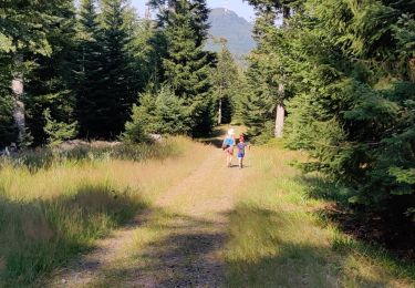 Trail Walking Grandfontaine - La Corbeille, col de Prayé - Photo