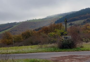 Tour Wandern Rebourguil - Ennous in live - Photo
