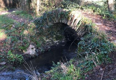 Trail Walking Les Garennes-sur-Loire - L’homois pres de Saint jean des Mauvrets - Photo