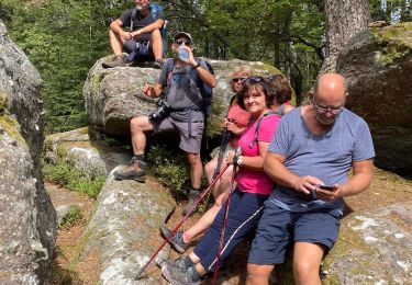 Trail Walking Ribeauvillé - Taenchel - Photo